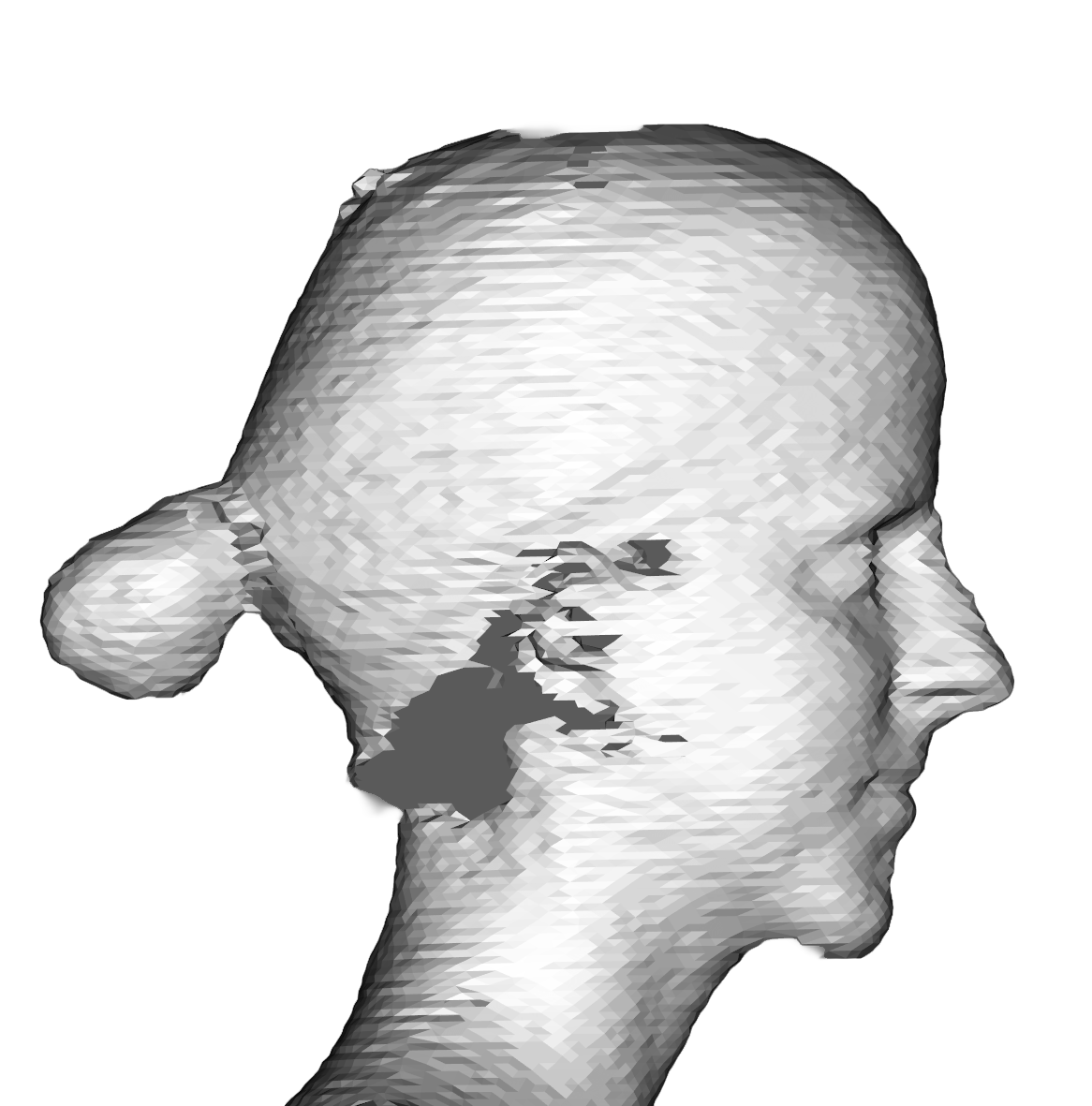 Raw Head Detail